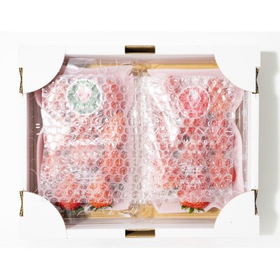 産地直送!!栃木県遠井農園の美味しいスカイベリー【290g×4パック(2箱)】