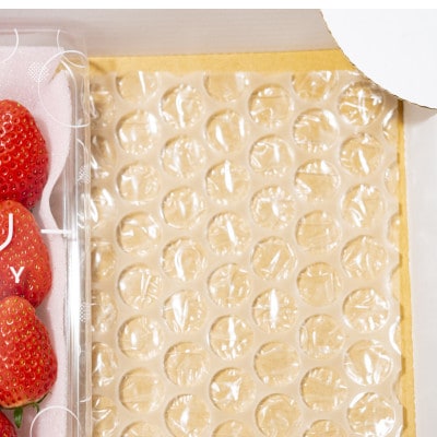 【発送月固定定期便】遠井農園のいちご食べ比べ定期便全4回