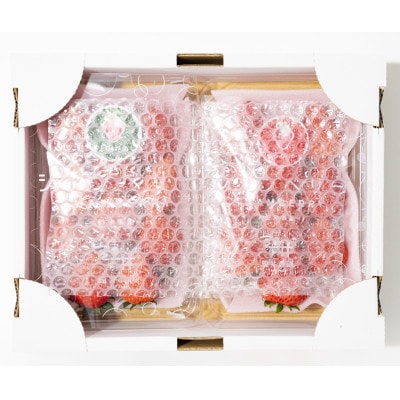 【発送月固定定期便】遠井農園のいちご定期便(スカイベリー)全4回