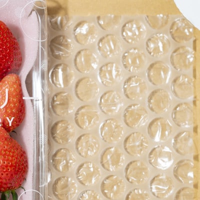 【発送月固定定期便】遠井農園のいちご定期便(スカイベリー)全4回