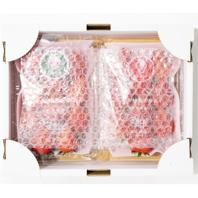 【発送月固定定期便】遠井農園のいちご定期便(とちあいか)全4回