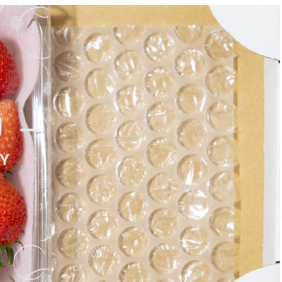 【発送月固定定期便】遠井農園のいちご定期便(とちあいか)全4回