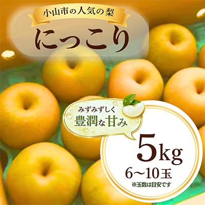ずっしり5kg【にっこり】　栃木県小山市産の梨　