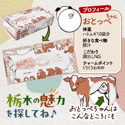 【120箱入り】大満足パック栃木の魅力ティッシュボックス150w×120箱※配送不可地域:離島・沖縄