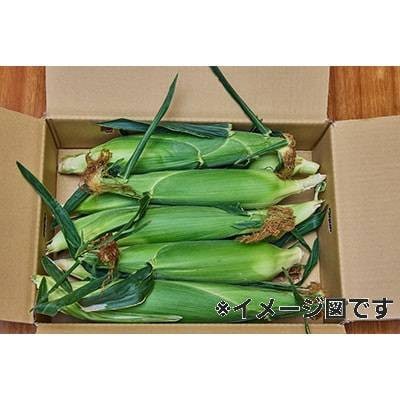 【7本】朝採れ!新鮮とうもろこし「ゴールドラッシュ」