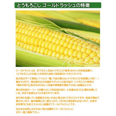 【7本】朝採れ!新鮮とうもろこし「ゴールドラッシュ」