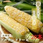 糖度20度!甘くて美味いとうもろこし「ドルチェドリーム」 28本