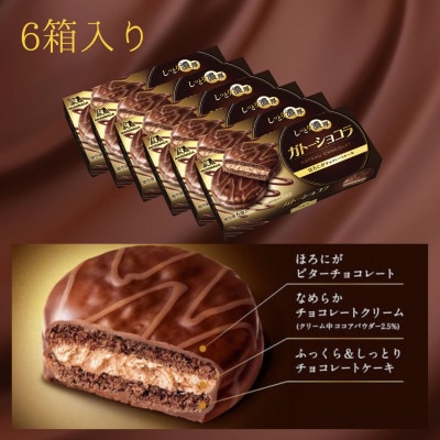 ガトーショコラ　6箱入り