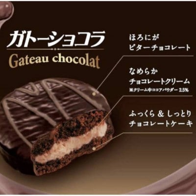 ガトーショコラ　2箱入り