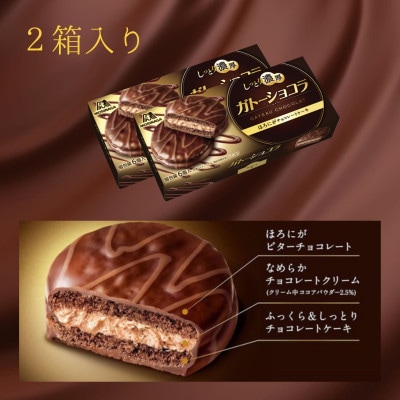 ガトーショコラ　2箱入り