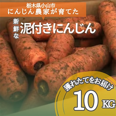 【小山市産】にんじん農家さんが育てた泥付きにんじん　10kg