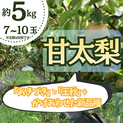 数量限定!【約5kg】栃木県小山市産　甘太　梨