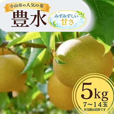【5kg】栃木県小山市産　豊水 梨