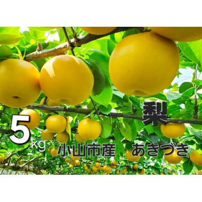 【5kg】栃木県小山市産　あきづき　梨