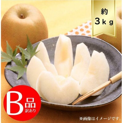 【3kg】栃木県小山市産B級品　にっこり　梨