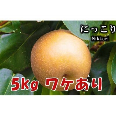 【5kg】栃木県小山市産B級品　にっこり　梨
