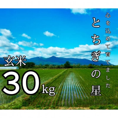 令和7年産 とちぎの星 玄米 30kg