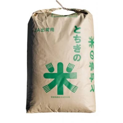 令和7年産 とちぎの星 玄米 30kg