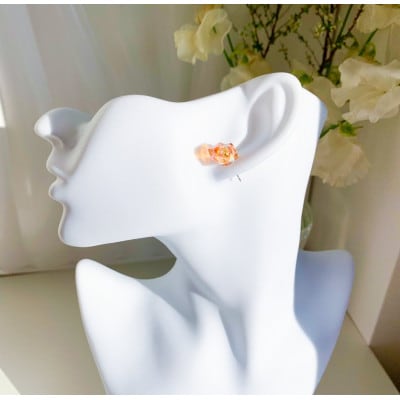 サージカルステンレス金属アレルギー対応ピアス・レッドカラー