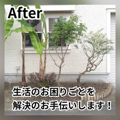 暮らしを支える安心のサポートサービス 50,000円分