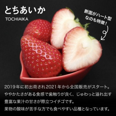 甘さ際立つ新品種いちご とちあいか 2パック