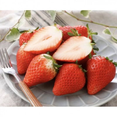 天空を映す甘美な果実 小山産スカイベリー 2パック