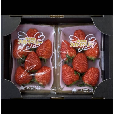 天空を映す甘美な果実 小山産スカイベリー 2パック