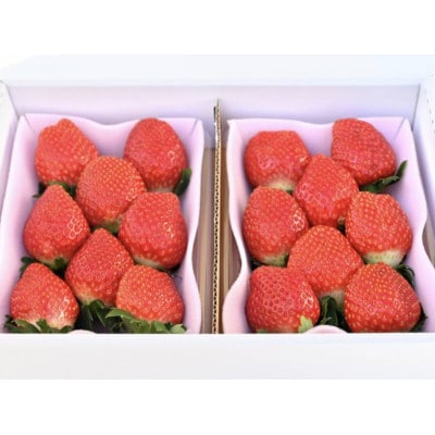 小山の恵み とちおとめ 2パック