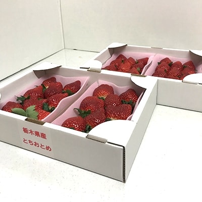 頑固おやじのこだわりとちおとめ　約270g×4パック