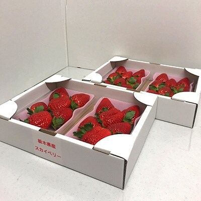頑固おやじのこだわりスカイベリー　約280g×4パック