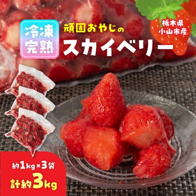 頑固おやじの冷凍完熟スカイベリー3kg(1kgX3袋)