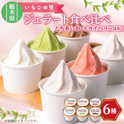 いちごの里ジェラート6種セット