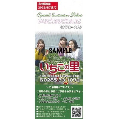 栃木県小山市 いちご狩りご招待券(大人2名様分)