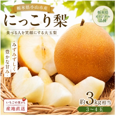 栃木県産 にっこり梨 3～4玉(約3kg)