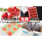 【発送月固定定期便】いちごの里定期頒布会全12回