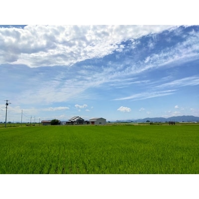 【移住検討者向け】古民家「まなかのいえ」1泊2日貸切宿泊体験&小山市案内ツアー付チケット(最大2名)