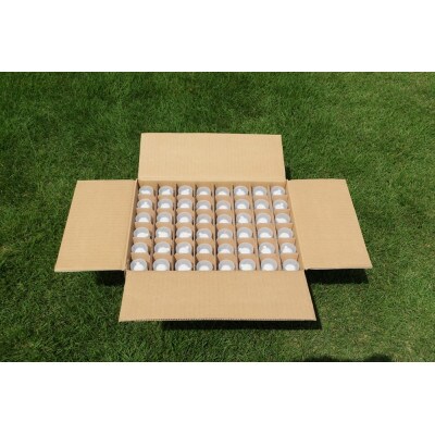 薬用泡消毒液　あわの～る【消毒　アルコール　携帯用】100mL×48本
