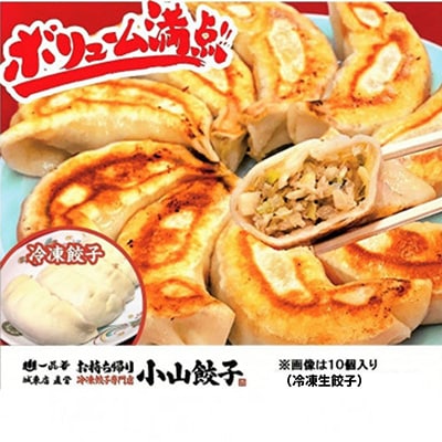 冷凍餃子専門店 小山餃子[Sセット全45個] ひとくち餃子30個/大きい餃子15個