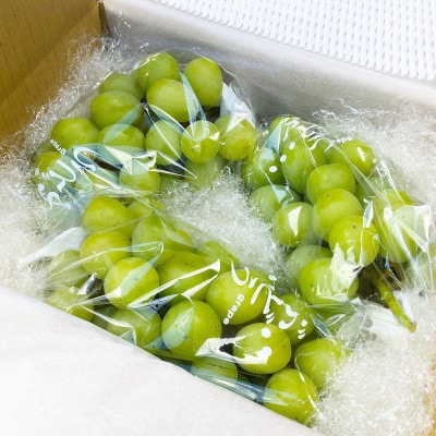 栃木県小山市産シャインマスカット約2.0kg(3～4房)