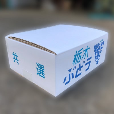 栃木県小山市産シャインマスカット約2.0kg(3～4房)