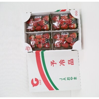 【いちご王国の逸品】小山市産「とちおとめ」 260g×4P