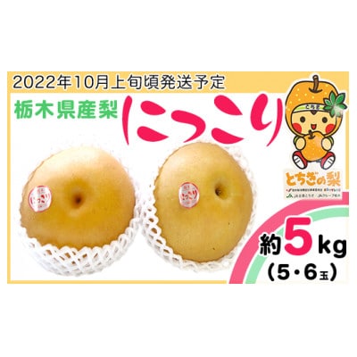 【栃木県産梨】にっこり(5・6玉)約5kg