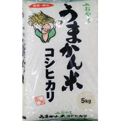 令和6年産　栃木県小山市産　コシヒカリ　うまかん米　精米5kg
