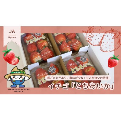 【いちご王国の逸品】栃木県産「とちあいか」260g×4p