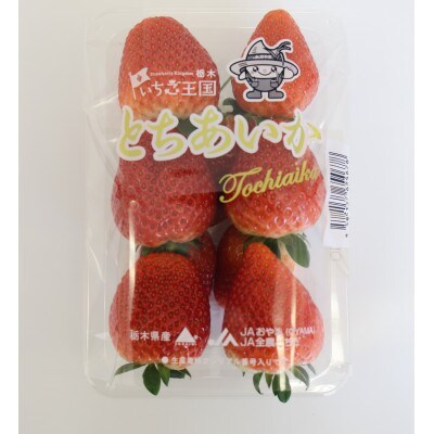 【いちご王国の逸品】栃木県産「とちあいか」260g×4p