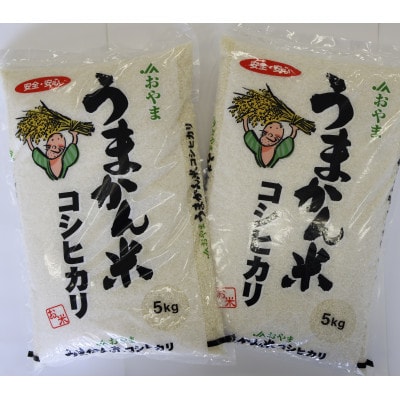 令和6年産　栃木県小山市産コシヒカリ「うまかん米」　精米5kg×2袋