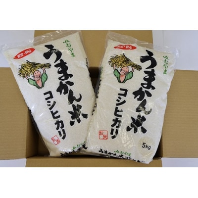 令和6年産　栃木県小山市産コシヒカリ「うまかん米」　精米5kg×2袋
