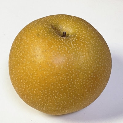 栃木県小山市産「梨」甘太　5kg