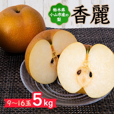 栃木県小山市産「梨」香麗 5kg