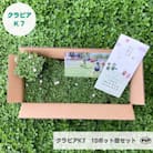 グランドカバー植物「クラピアK7」10ポット苗セット【お申込書返信後、ご希望日に合わせて発送】